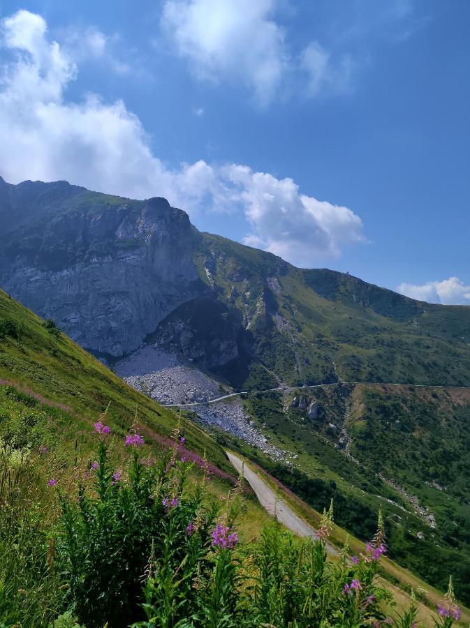 La Petite Rose * Limone Piemonte